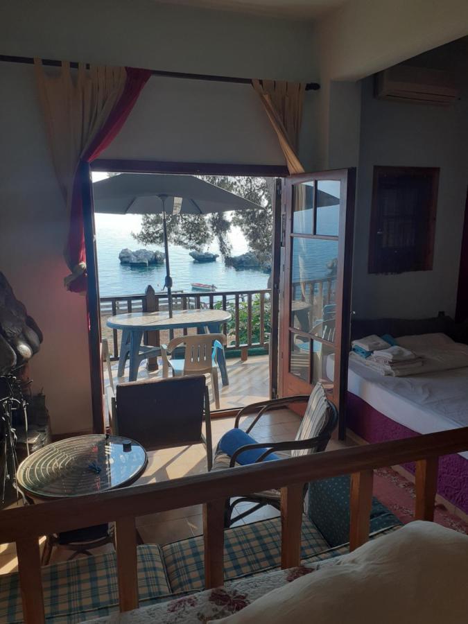 Traditional Guest House 圣帕拉斯凯维 外观 照片
