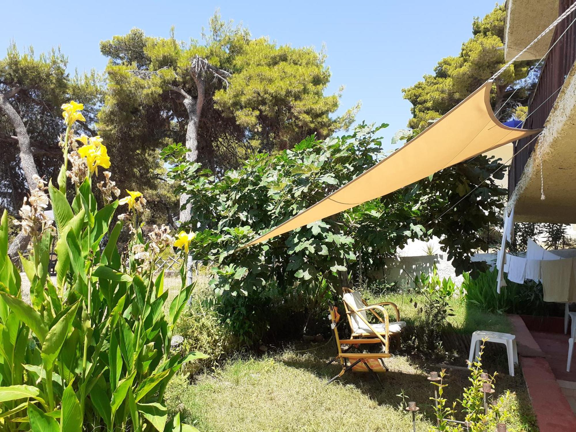 Traditional Guest House 圣帕拉斯凯维 外观 照片