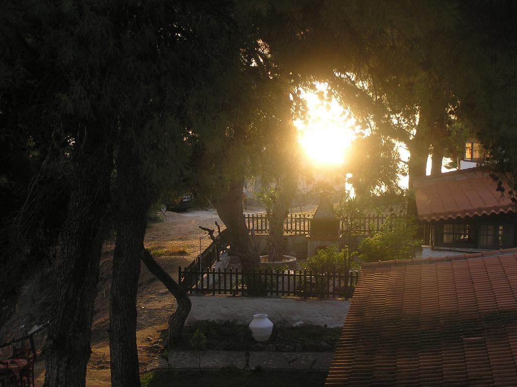 Traditional Guest House 圣帕拉斯凯维 外观 照片